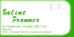 balint prommer business card